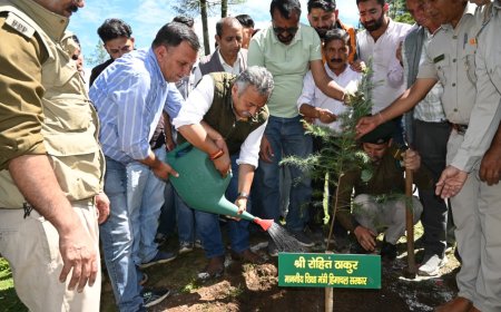 पर्यावरण संरक्षण के लिए सामूहिक प्रयास जरूरी - रोहित ठाकुर