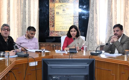 जनगणना के दूसरे चरण में 40 प्रश्नों के तहत होगी सूचना एकत्रित - दीपशिखा शर्मा
