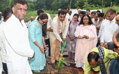 ग्रामीण क्षेत्र का विकास प्रदेश सरकार की प्राथमिकता - संजय अवस्थी