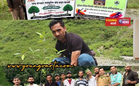 डाहर में पर्यावरण संरक्षण की पहल, चूड़ेश्वर लेजेंड्स और नव प्रभात नवयुवक संघ ने रोपे 400 पौधे