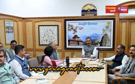 मुख्यमंत्री ने राष्ट्रीय औद्योगिक गलियारा विकास और कार्यान्वयन ट्रस्ट के सर्वोच्च निगरानी प्राधिकरण की बैठक में भाग लिया