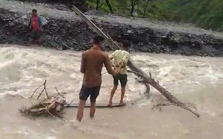 नलटड़ी खड्ड पर पुल बनने का दशकों से  इंतजार, हर बरसात में जान जोखिम में डाल रहे बटोला के लोग