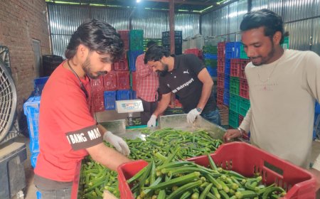 अमेजॉन फ्रेश से जुड़े हमीरपुर के किसान, सफल रहा पहला ट्रायल
