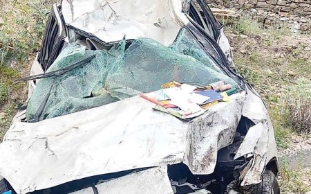 खाई में गिरी कार, जिला प्रोग्राम मैनेजर की मौत, एक सवार गंभीर रूप से घायल