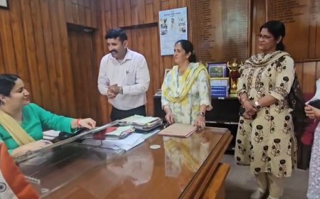 बारिश से हुए नुकसान को लेकर पंचायत प्रतिनिधियों की डीसी से मुलाकात, नुकसान के बारे में DC को करवाया अवगत