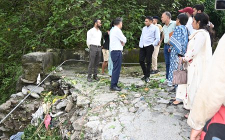 उपायुक्त ने पक्काटाला- बालू संपर्क मार्ग के क्षतिग्रस्त हिस्से का किया निरीक्षण, संबंधित अधिकारियों को दिए आवश्यक निर्देश 