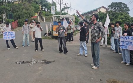 प्रदेश सरकार के खिलाफ SFI का नाहन में धरना प्रदर्शन, महिमा लाइब्रेरी के समीप फूंका वीसी का पुतला