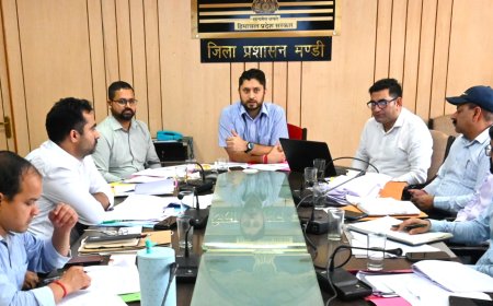 ग्रामीण विकास योजनाओं का समयबद्ध कार्यान्वयन सुनिश्चित करें: उपायुक्त