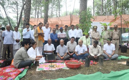 उखली में मनाया गया 77वां वन महोत्सव, सुनील शर्मा बिट्टू ने किया पौधारोपण