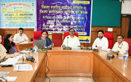 डॉ. वाय एस परमार ऋण योजना के तहत पात्र विद्यार्थियों को ऋण उपलब्ध करवाना करें सुनिश्चित - मनमोहन शर्मा