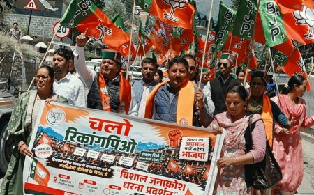 कांग्रेस सरकार की जनविरोधी नीतियों के खिलाफ कल्पा में भाजपा का जनाक्रोश, सरकार से मांगा चार वर्षों का हिसाब