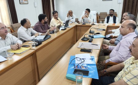 ग्रामीण विकास योजनाओं के प्रभावी क्रियान्वयन के लिए पंचायत स्तर पर नियमित निरीक्षण करें अधिकारी : उपायुक्त मुकेश रेपस्वाल