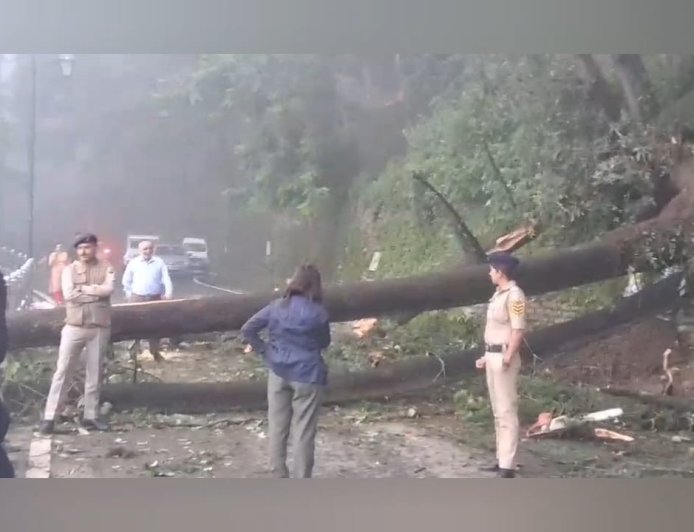लगातार बारिश से शिमला बेहाल, संजौली में डंगा धंसा, लक्कड़ बाजार व ओक ओवर में गिरे पेड़