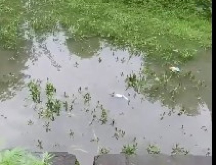 मंडी की इंदिरा मार्केट बनी तालाब, डेढ़ फीट पानी में डूबा संकन गार्डन
