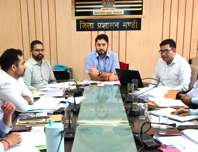 ग्रामीण विकास योजनाओं का समयबद्ध कार्यान्वयन सुनिश्चित करें: उपायुक्त