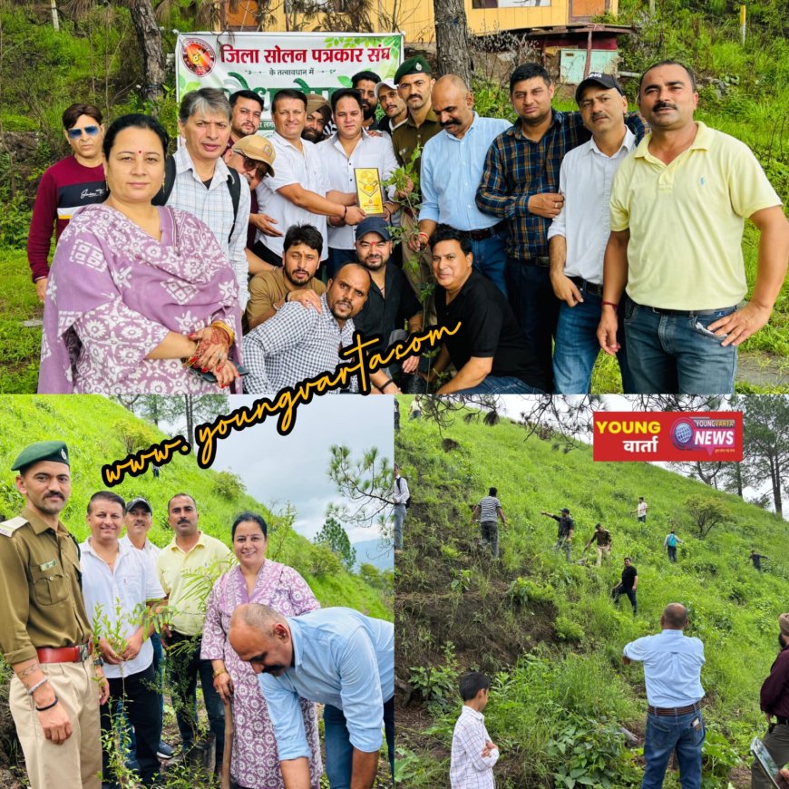 पर्यावरण संरक्षण का संदेश: जिला सोलन पत्रकार संघ ने नेचर रिट्रीट की पहाड़ी पर किया पौधारोपण