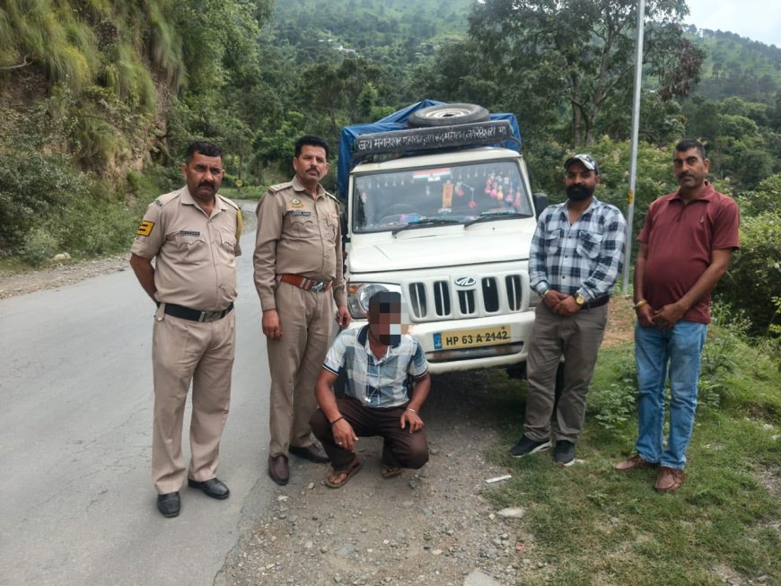 राजगढ़ में पिकअप से 100 पेटियां देसी शराब बरामद, चालक गिरफ्तार