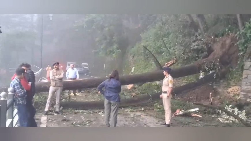 लगातार बारिश से शिमला बेहाल, संजौली में डंगा धंसा, लक्कड़ बाजार व ओक ओवर में गिरे पेड़