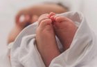 जन्म देते ही लावारिस छोड़ दिया नवजात, टांडा में उपचार के दौरान तोड़ा दम
