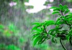 प्रदेश में  तीन दिन बारिश-तूफान का अलर्ट
