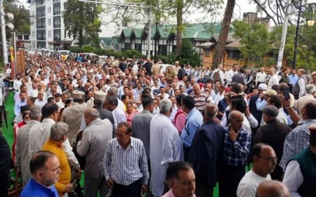लंबित वित्तीय देनदारियों के भुगतान को लेकर पेंशनरों का शिमला में धरना