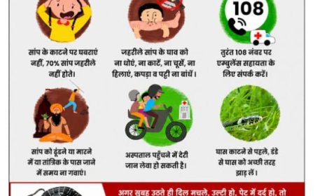 सर्पदंश से बचाव को लेकर स्वास्थ्य विभाग ने जारी की एडवाइजरी