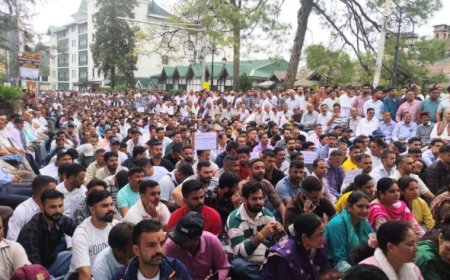 ओपीएस बहाली के लिए चाैड़ा मैदान में गरजे बिजली बोर्ड कर्मचारी, निकाली रैली, जमकर की नारेबाजी