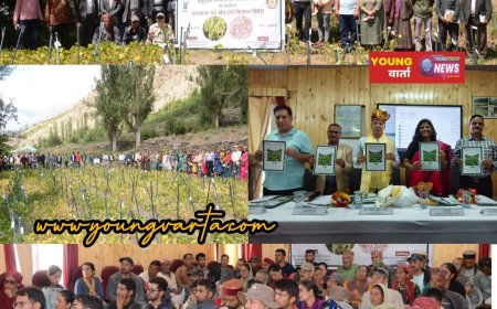 देशभर से एकत्रित राजमाश की 4,000 उन्नत किस्मों का किया जा रहा मूल्यांकन , केवीके  कुकुमसेरी में खेत दिवस आयोजित