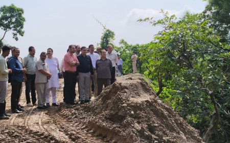 विधानसभा अध्यक्ष कुलदीप सिंह पठानिया ने किया बलाणा-गोला संपर्क मार्ग  का निरीक्षण