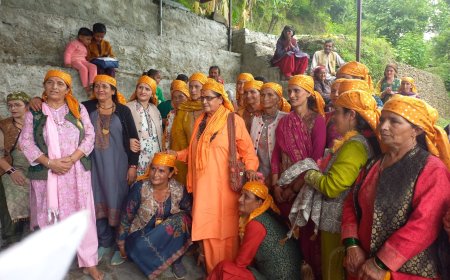 हरिपुरधार के डोलना गांव में धूमधाम से मनाई गई गोगापीर महाराज की गुगाल, हजारों श्रद्धालुओं ने लिया भंडारे का प्रसाद