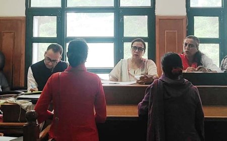महिला आयोग के समक्ष प्रस्तुत किए गए 27 मामले