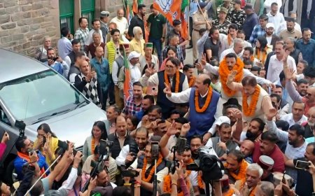 12 में से 11 जिला परिषदों में भाजपा का परचम, इससे बड़ा राजनीतिक संकेत और क्या होगा : हर्ष महाजन