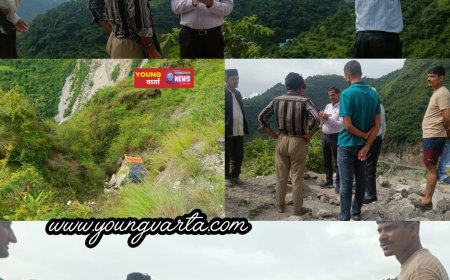 एनएच 707 पर हेवणा के पास सेब से लदी पिकअप खाई में गिरी , दो युवक सुरक्षित
