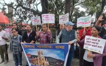 आवारा कुत्तों और बंदरों के बढ़ते आतंक से परेशान नागरिक सभा ने नगर निगम के खिलाफ खोला मोर्चा  