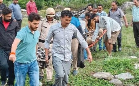 खाई में गिरी कार, हादसे में चार की मौत, एक घायल
