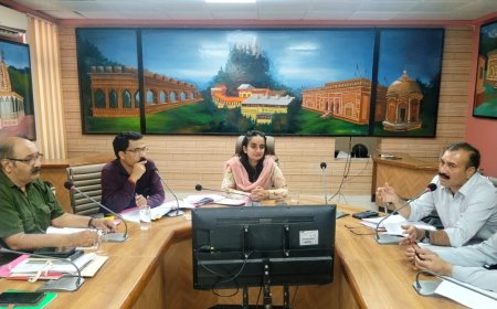 सड़क दुर्घटनाओं के घायलों को दी जा रही कैशलैस इलाज की सुविधा : गंधर्वा राठौड़