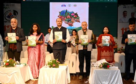 हिमाचल में एम्स आयुर्वेद की स्थापना के लिए प्रयास, 11वें राष्ट्रीय आयुर्वेद दिवस पर हिमाचल में आयुर्वेद को सुदृढ़ करने पर जोर
