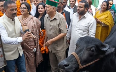 सोलन में कांग्रेस का अनोखा विरोध, भैंस के आगे बीन बजाकर केंद्र सरकार पर साधा निशाना