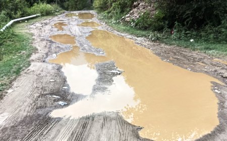 कूफरी-चायल सड़क गड्ढों में तब्दील, पर्यटकों और वाहन चालक परेशान, कोटी और  कूफरी के मध्य सड़क की हालत बहुत दयनीय