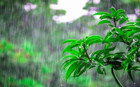 प्रदेश में  तीन दिन बारिश-तूफान का अलर्ट