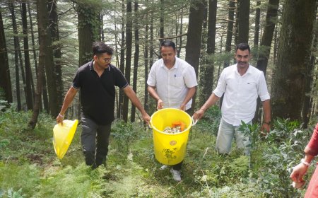पर्यटक स्थल चायल में प्रथम सशस्त्र वाहिनी जुन्गा ने चलाया स्वच्छता अभियान