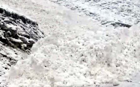 भारी हिमस्खलन ने डराया किन्नौर, सुरक्षित निकाले किन्नर कैलाश यात्रा पर गए 26 श्रद्धालु