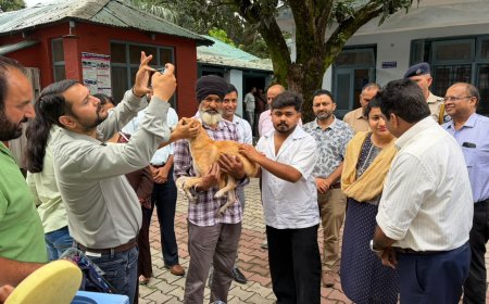 विश्व रेबीज दिवस आज, जिला में 3000 वैक्सीनेशन लगाने का रखा है लक्ष्य