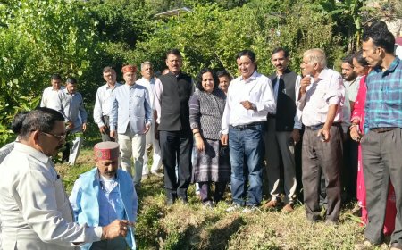 बागवानी मंत्री जगत सिंह नेगी ने बड़ागांव क्लस्टर का किया निरीक्षण
