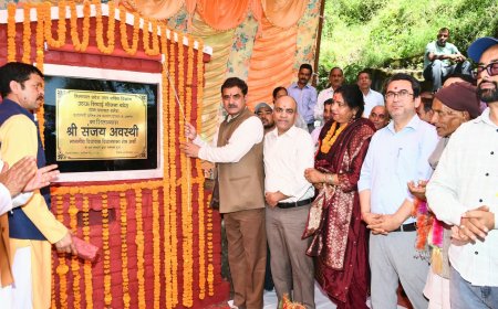 प्रदेश सरकार हिमाचल को आत्मनिर्भर बनाने के लिए प्रतिबद्ध - संजय अवस्थी