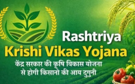कृषि क्षेत्र के विकास के लिए केंद्र ने हिमाचल को जारी की 64.82 करोड़ की दूसरी किस्त