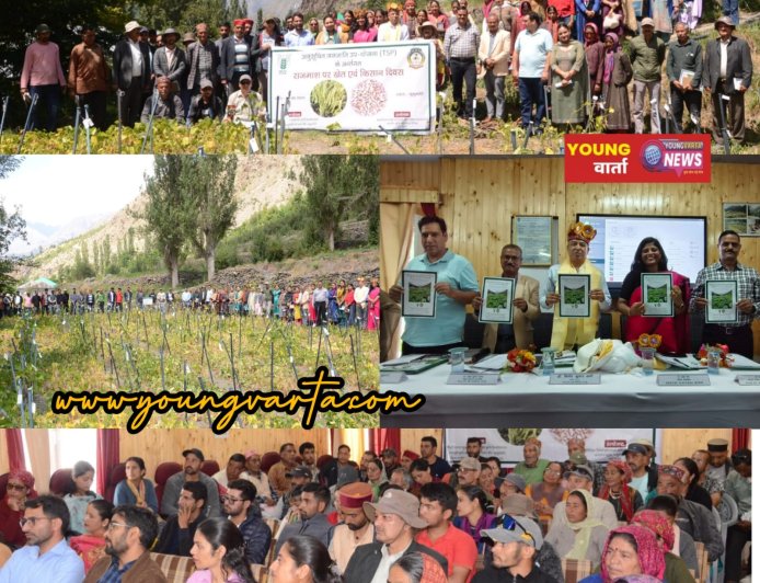 देशभर से एकत्रित राजमाश की 4,000 उन्नत किस्मों का किया जा रहा मूल्यांकन , केवीके  कुकुमसेरी में खेत दिवस आयोजित