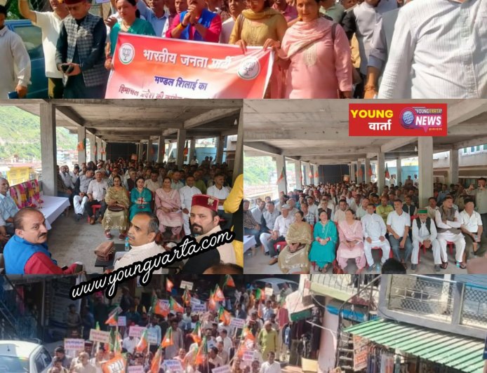 रोहनाट में भाजपा मंडल शिलाई की मासिक बैठक आयोजित, संगठन मजबूती और सेवा संकल्प अभियान पर हुआ मंथन