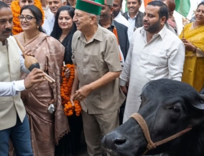 सोलन में कांग्रेस का अनोखा विरोध, भैंस के आगे बीन बजाकर केंद्र सरकार पर साधा निशाना