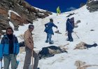 रुपिन पास में बर्फीले तूफान के बीच भेड़-बकरियों संग फंस गए थे चरवाहे, पुलिस ने किया रेस्क्यू